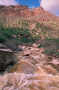 Desert wash in flood near Tucson, Arizona