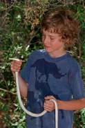 Boy Holding Patch-nosed Snake (Salvadora hexalepis) -Arizona