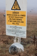 Grey Seal (Halichoerus grypus) - Pup on RAF Bombing Range - UK