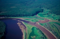 Siberian Taiga - Ural Mountains - Siberia