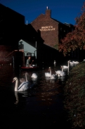 Flooding on River Severn - England