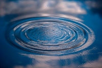 Ripple on Water - Lakenheath Fen - England - UK
