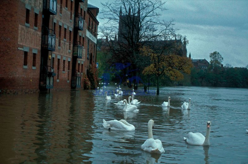 Flooding on River Severn - England