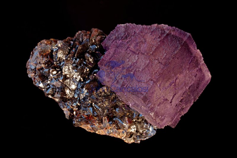 Fluorite (CaF2) on Sphalerite (ZnS) -  Tennessee - USA