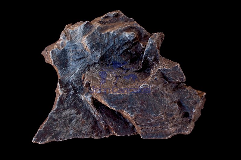 Meteorite Fragment - Sikhote Alin - Russia