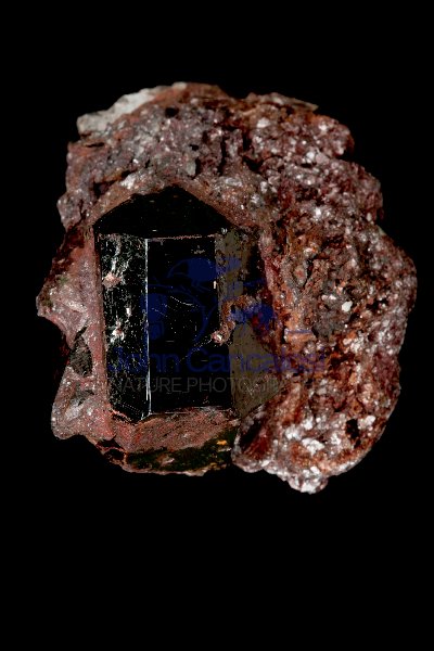 Rutile Crystal (TiO2) - Graves Mountain Georgia - USA
