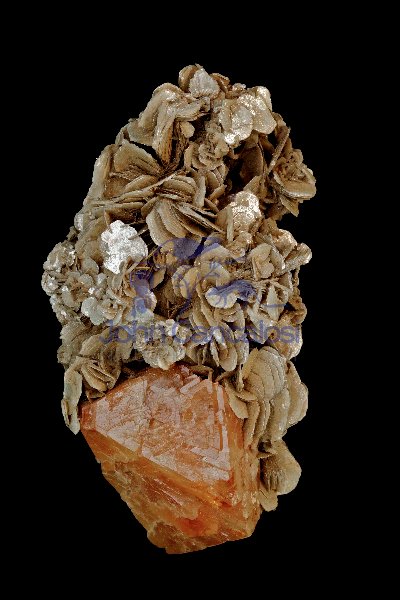 Scheelite Crystal (CaWO4) on Muscovite - China
