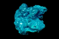 Chrysocolla - Etoile mine - Congo - Hydrated copper silicate
