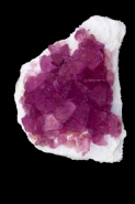 Fluorite - Mina Navidad - Chihuahua - Mexico