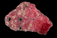 Rhodochrosite - MnCO3 - Argentina - cross-section of