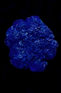 Azurite - Greenle County - Arizona - USA