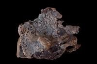 Native Silver in Graywacke Slate - Cobalt Ontario Canada