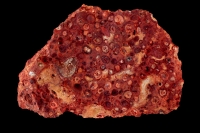 Bauxite with Red Ocher - Pulaski County - Arkansas - USA