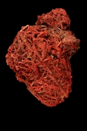 Crocoite - PbCrO4 - Tasmania - Australia
