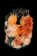 Barite (BaS04) on Cerrusite  - Mibladen  Morocco