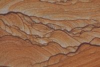 Picture Sandstone Detail - Northern Arizona/Utah