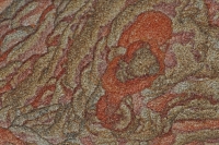 Picture Sandstone Detail - Northern Arizona/Utah