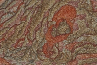 Picture Sandstone Detail - Northern Arizona/Utah