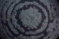 Pyrite on Shale Concretion - Yunnan China