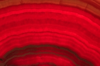 Rhodochrosite - Argentina