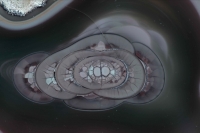 Imperial Jasper - Mexico - cross-section