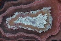 Laguna Agate - Mexico - Cross-section