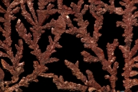 Native Copper - Bolivia