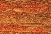 Picture Sandstone - Utah, USA