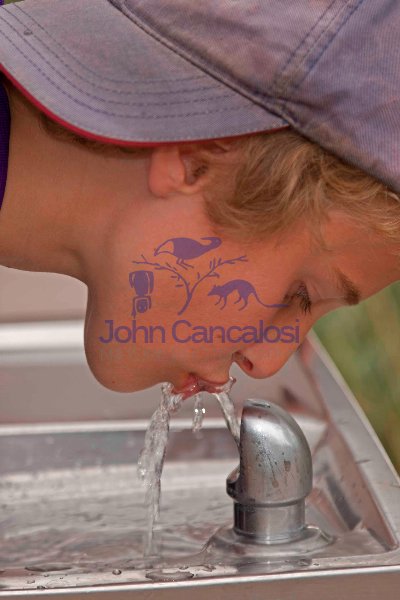 Boy - Age 11 - Drinking from Drinking Fountain - USA