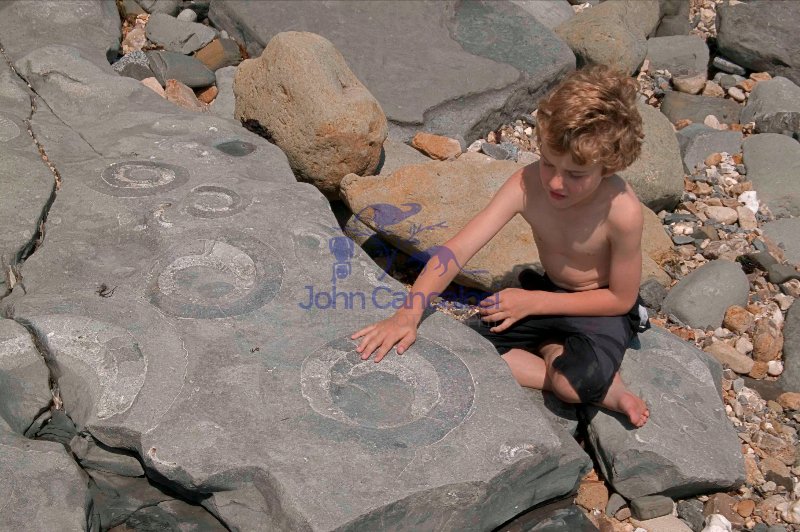 Child with fossil ammonites-Lyme Regis-England