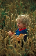 Boy - Age 2 - In field - UK