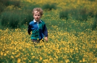 Small Boy Walking Through Field of Flowers - UK