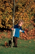 Small boy - UK -