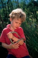 Boy Looking at Snake - Spain