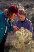 Woman and Child Looking at Cholla Cactus - Arizona