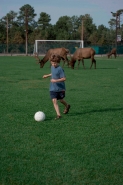 Child on Soccer Field with Elk in Background - Arizona-USA