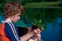 Boy Observing Water Hyacinth in Louisiana Swamp - USA