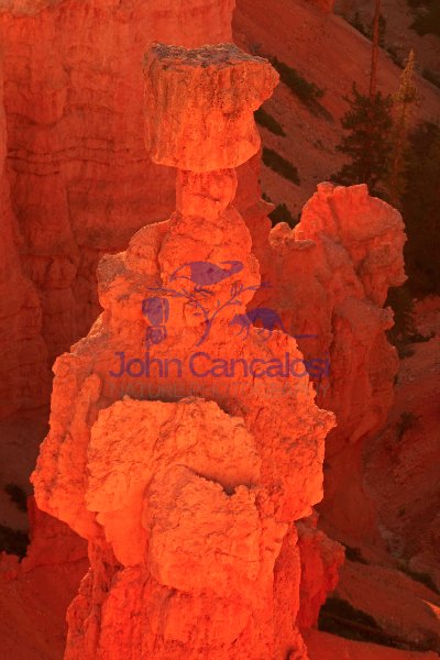 Bryce Canyon National Park - Utah - Thor\'s hammer