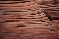 Sandstone Formations Showing Layers - Utah - USA