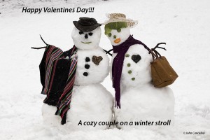 Snow couple, Washington DC area, after winter storm